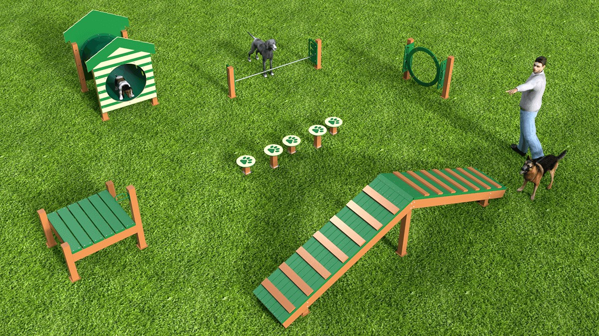 RECYCLED INTERMEDIATE AGILITY COURSE